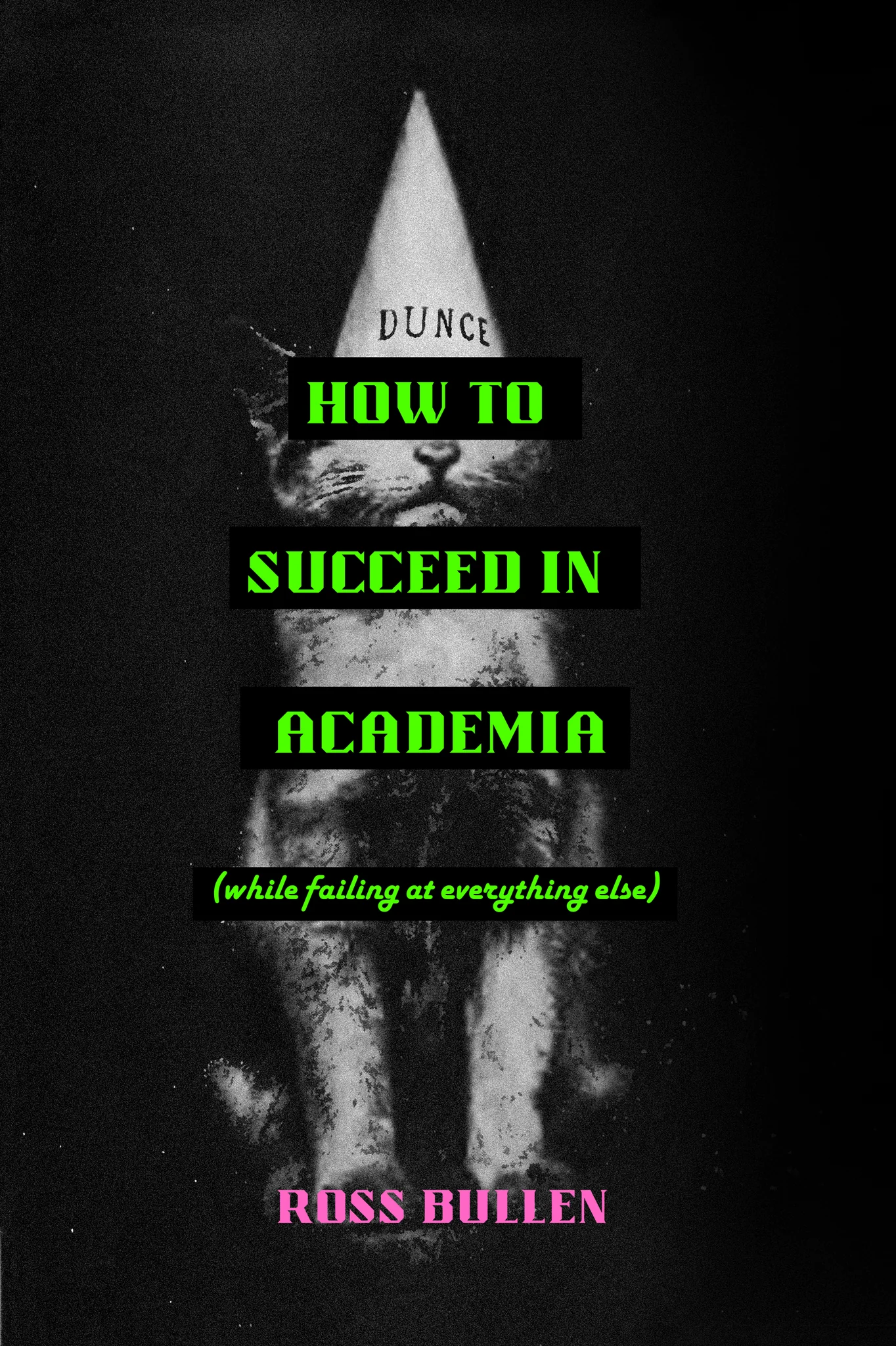 How to Succeed in Academia